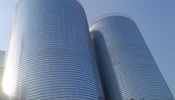 天桥2座混凝土高架卷板仓